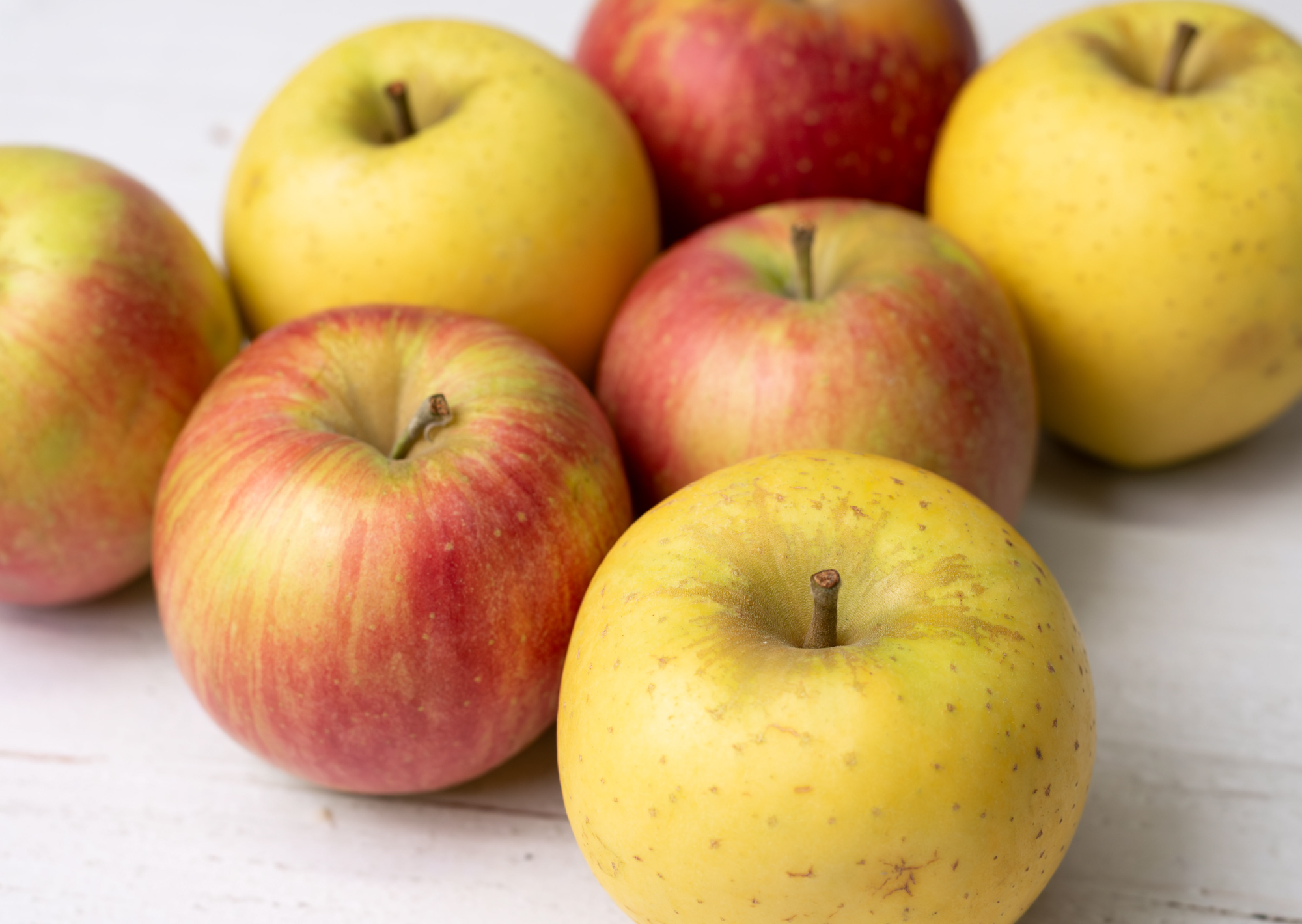 りんご 0207 2・10 りんご サンふじ 秀品 10〜23玉 5kg 長野県