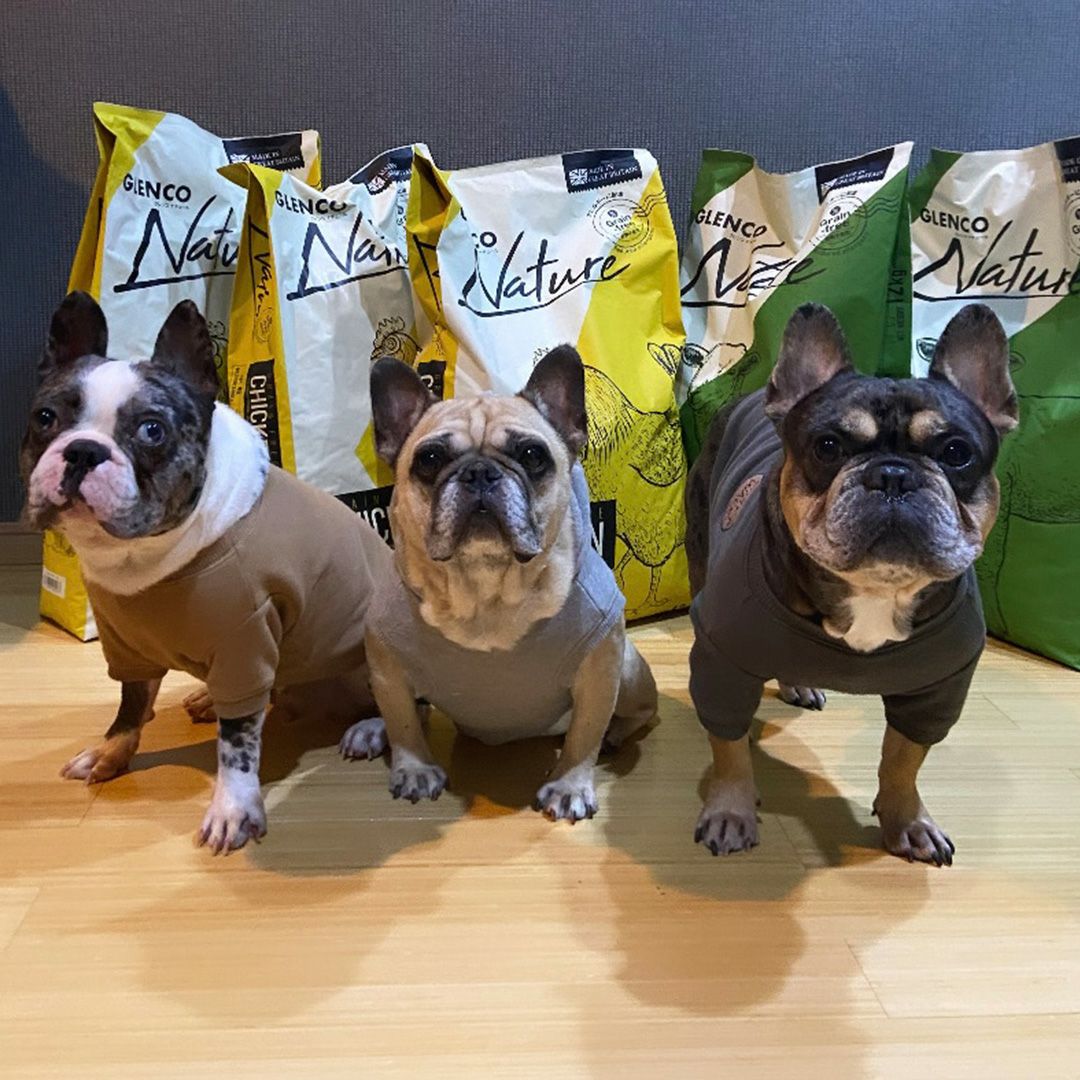 クーポン使用で50％OFF】グレンコナチュール グレインフリー アダルト