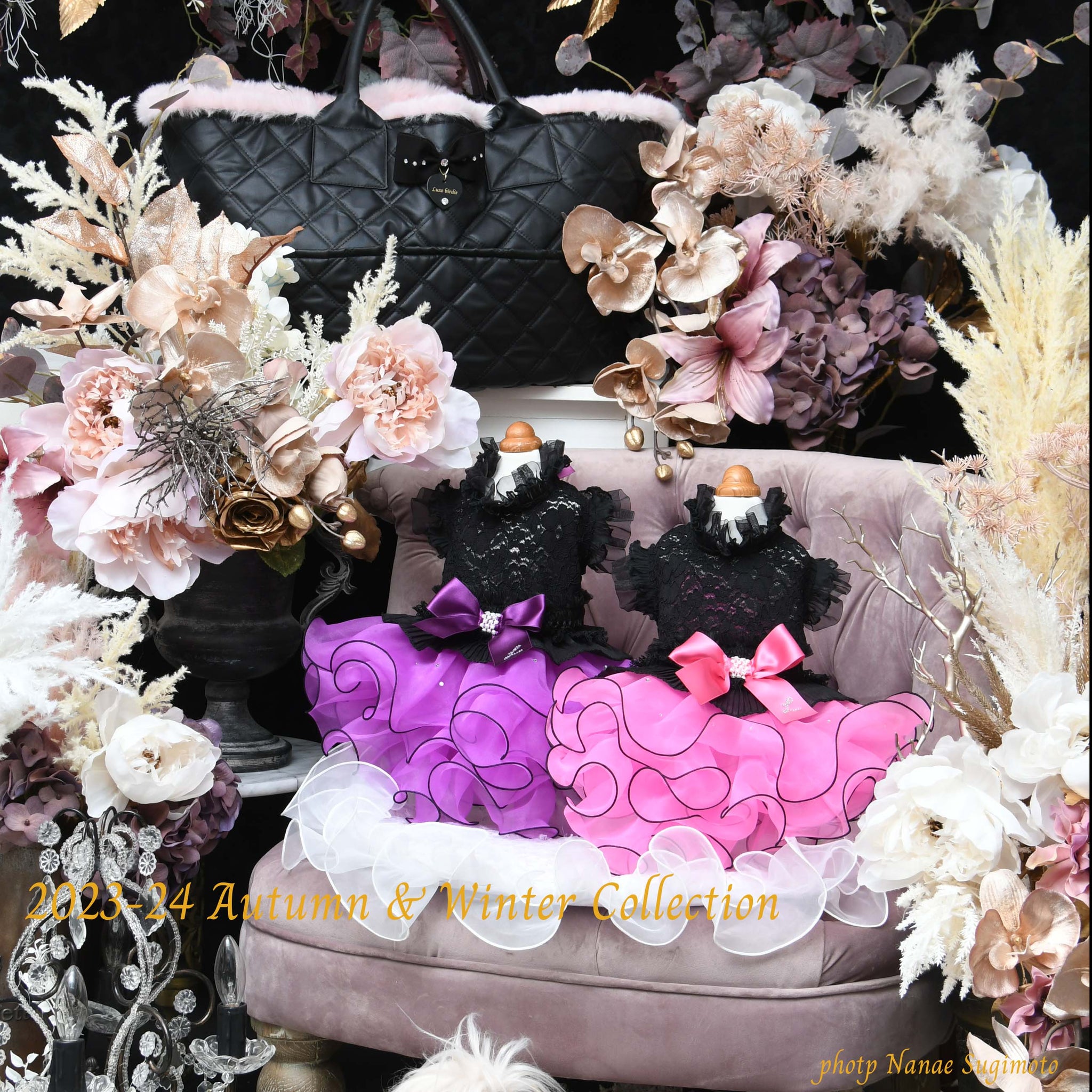 ニュース – Luxebirdie