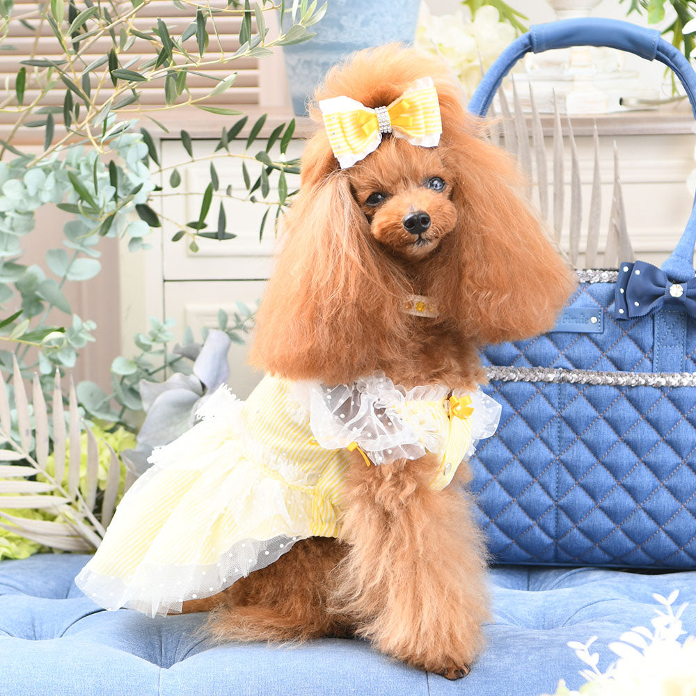 リュクスバーディ Luxe birdie クーベルチュール 小型犬 ペット 犬服