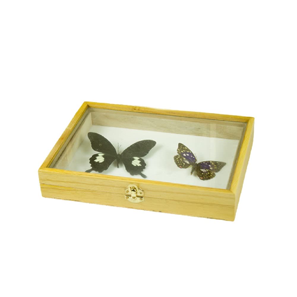 にこベー☆】標本箱ドイツ箱 黒色 UV加工6箱 蝶と蛾の標本 楽天市場