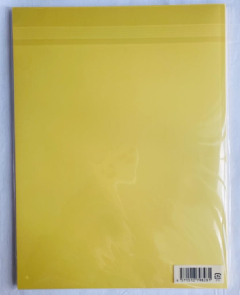 2年前キンプリメリクリパンフレット 2年前キンプリメリクリ