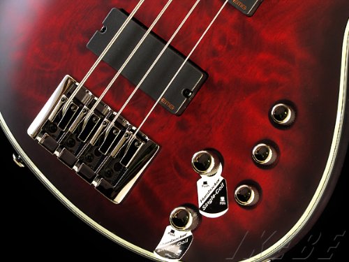 Amazon | SCHECTER HELLRAISER EXTREME 4 【AD-HR-EX-BASS-4】 エレキ