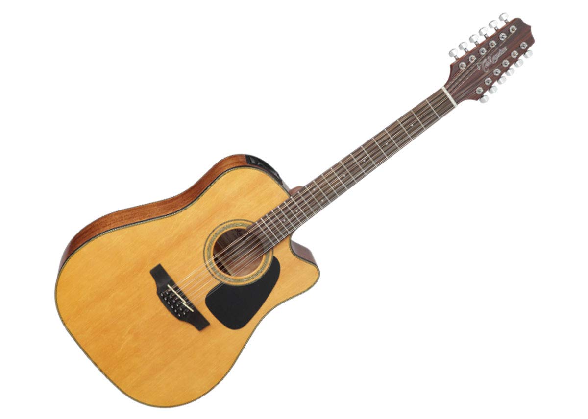 Takamine T-F1/N アコースティックギター 弦は新品に交換済み