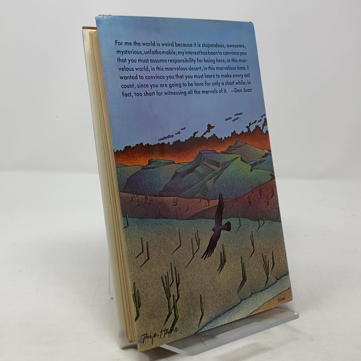 ⭐️最終値下げ中⭐️ カルロス・カスタネダ 4冊セット ⭐️最終