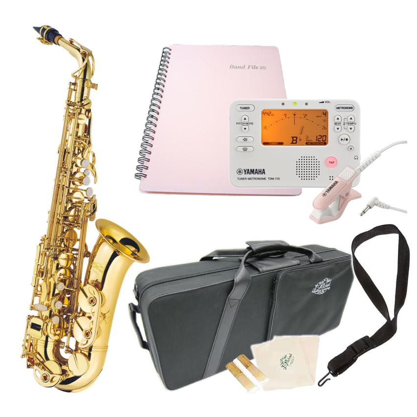 Amazon.co.jp: アルトサックス 初心者 AL-500 学生向けセット J