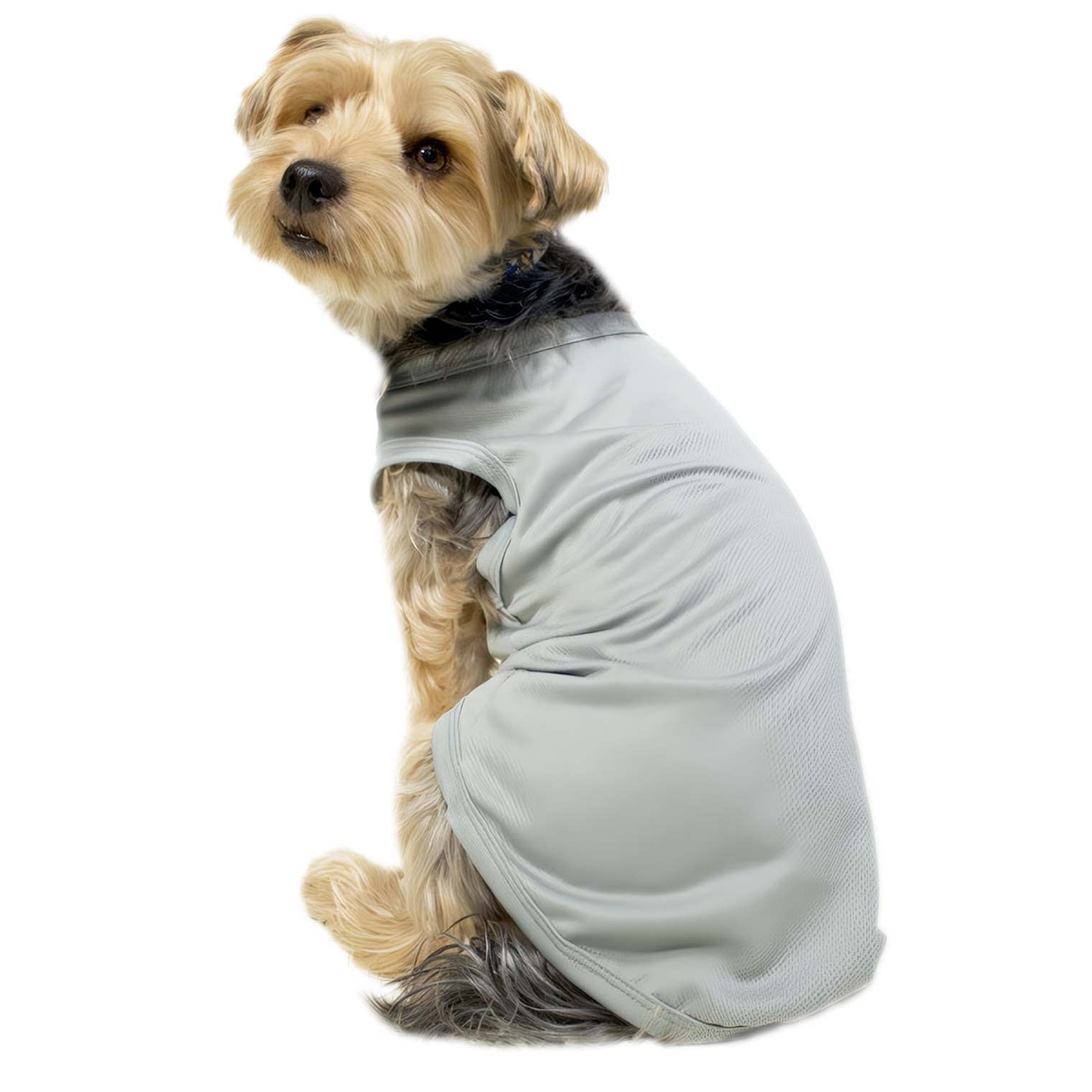 犬服 3S わんこの普段着 しろくま 犬服 3S わんこの普段着しろくま