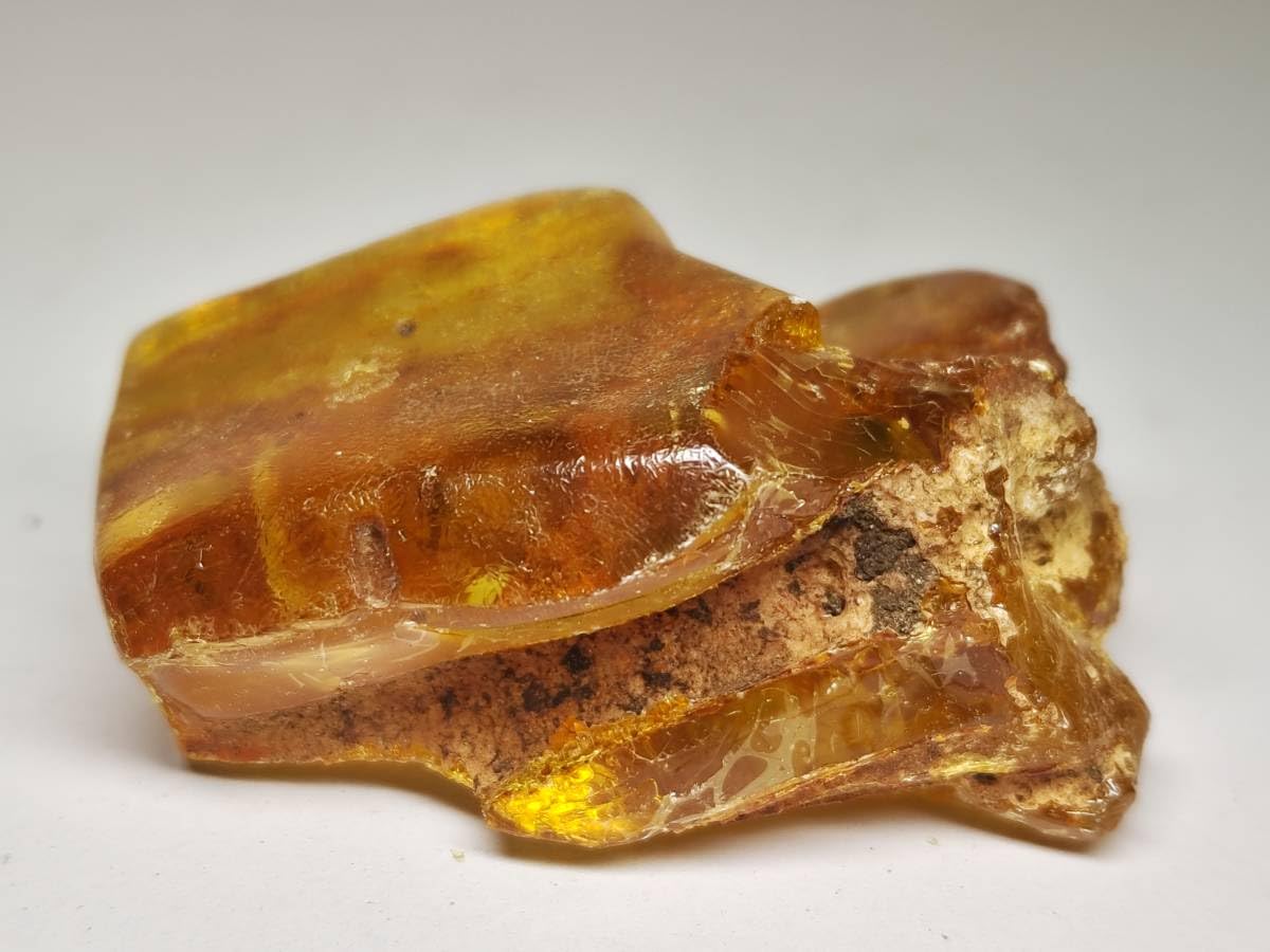 Amazon.co.jp: 琥珀55gアンバーコハク化石原石鑑賞石自然石誕生石鉱石