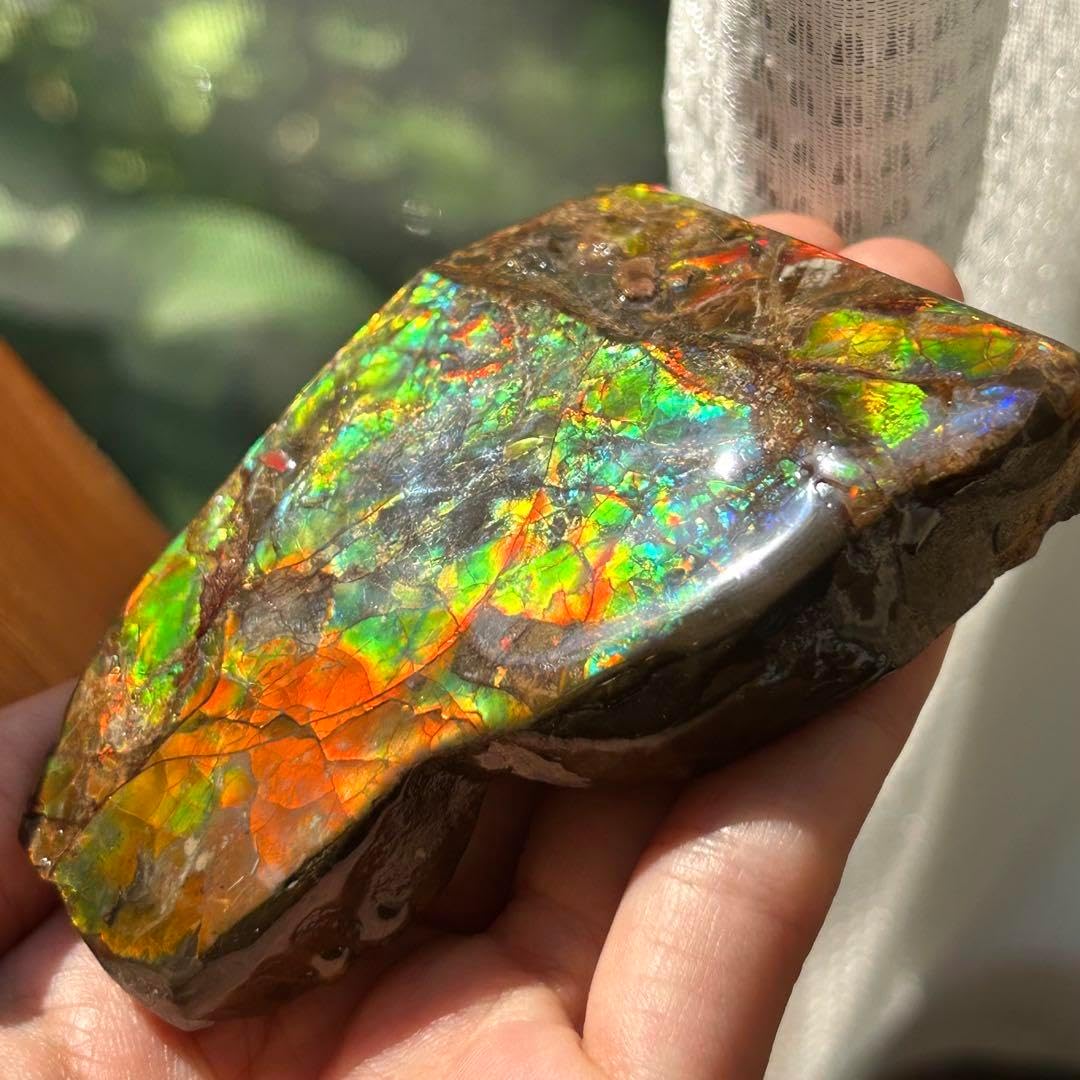 240g アンモナイト 化石 アンモライト オパール化 本物 原石 鉱物標本