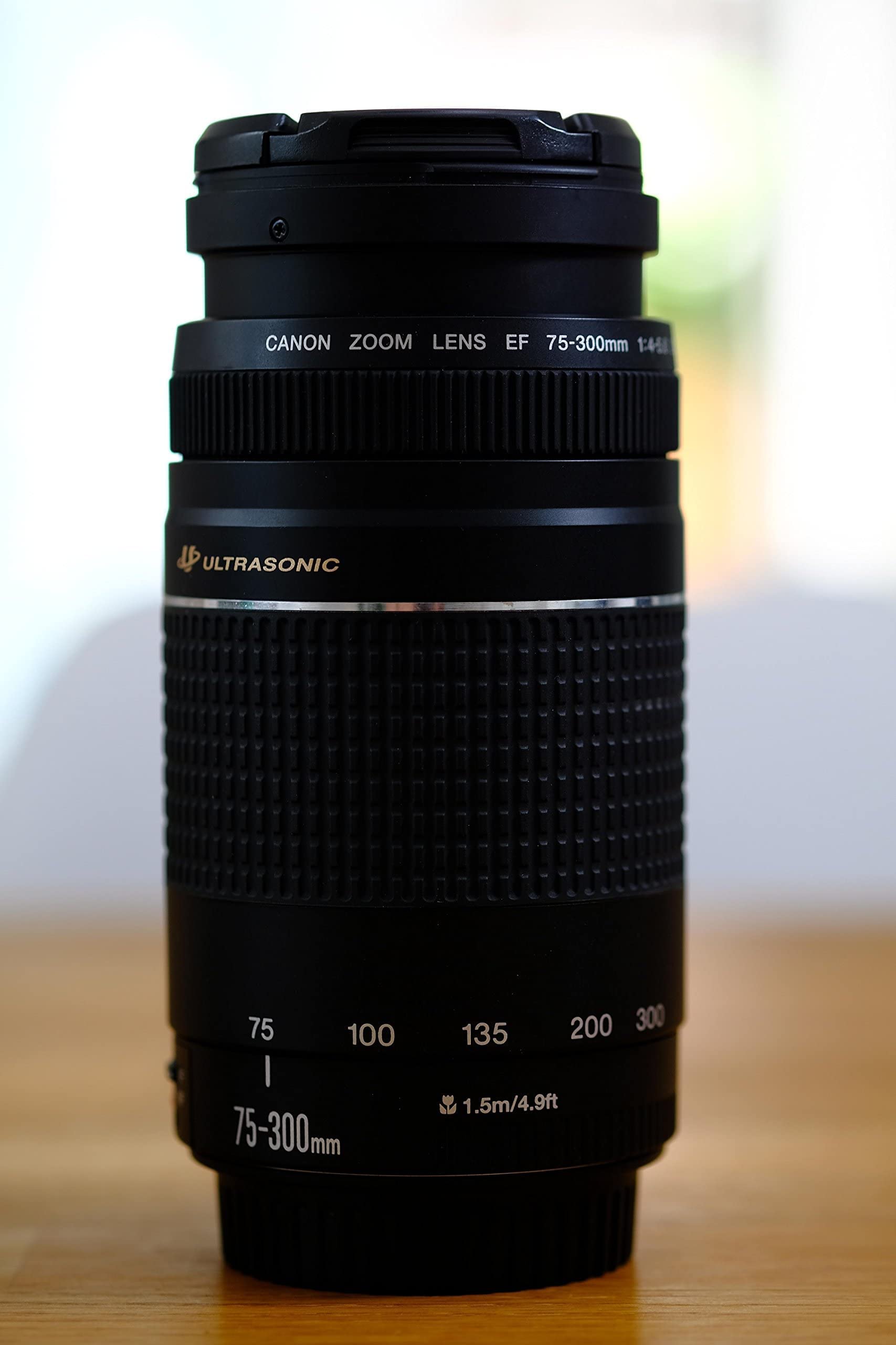 Canon EF75-300mm F4-5.6 III USM 望遠ズームレンズ