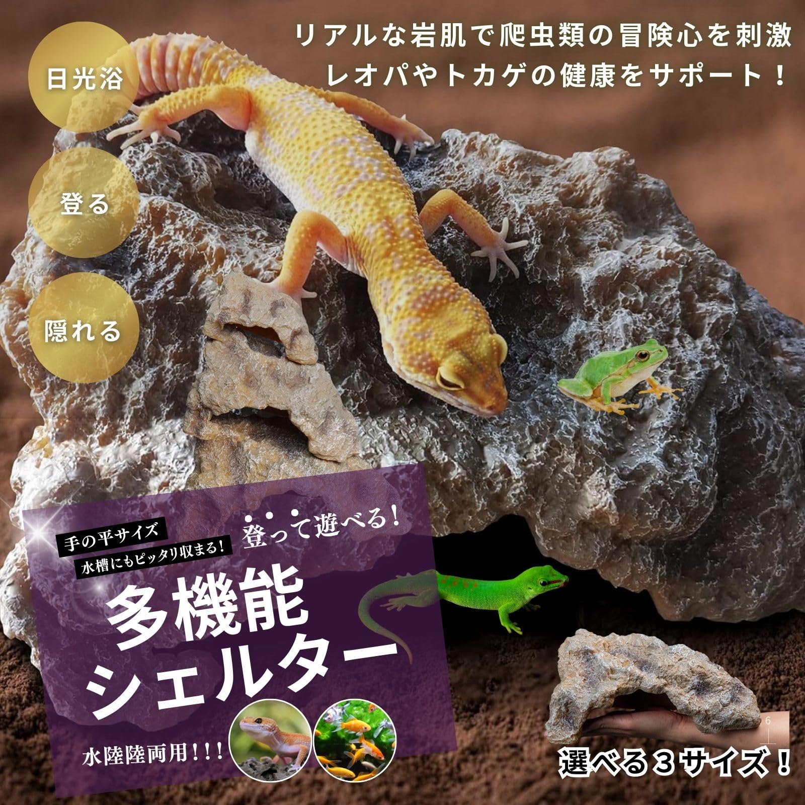 Amazon | Archnote 爬虫類 レオパ シェルター トカゲ カナヘビ 亀