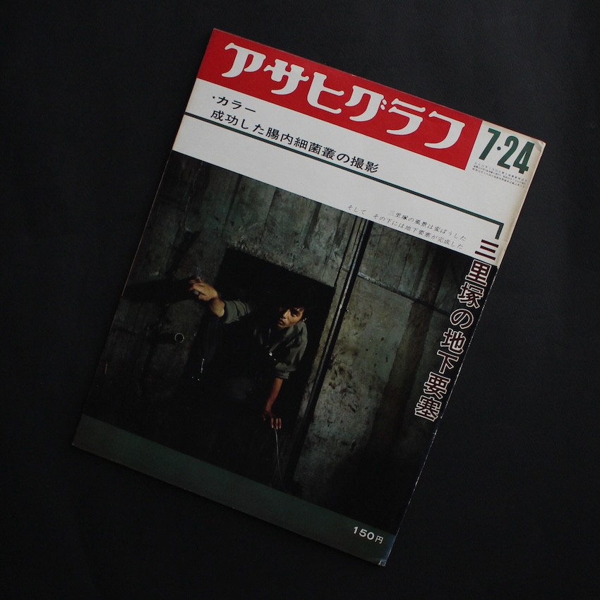 ダイアン・アーバス作品集 diane arbus（Japanese Edition） - Diane Arbus