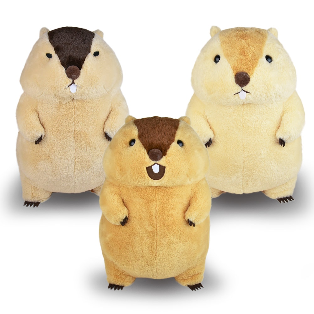 マーモットのもっとっとモア ウルトラBIGぬいぐるみ 3点セット ≪7月