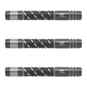 DIMITRI VAN DEN BERGH G1 スイスポイント21g ダーツ > ハードダーツ > ブランド【タ行】 > ターゲット