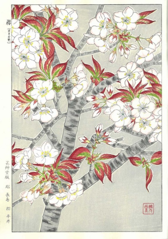 伊勢古市 備前屋櫻花樓 踊之図」彩色木版刷り 明治21年刊 1枚|木版画