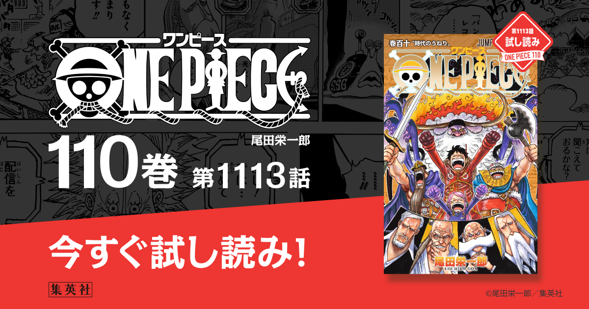 ONE PIECE 全巻1巻〜110巻セット 非売品つき ONE PIECE ワンピース