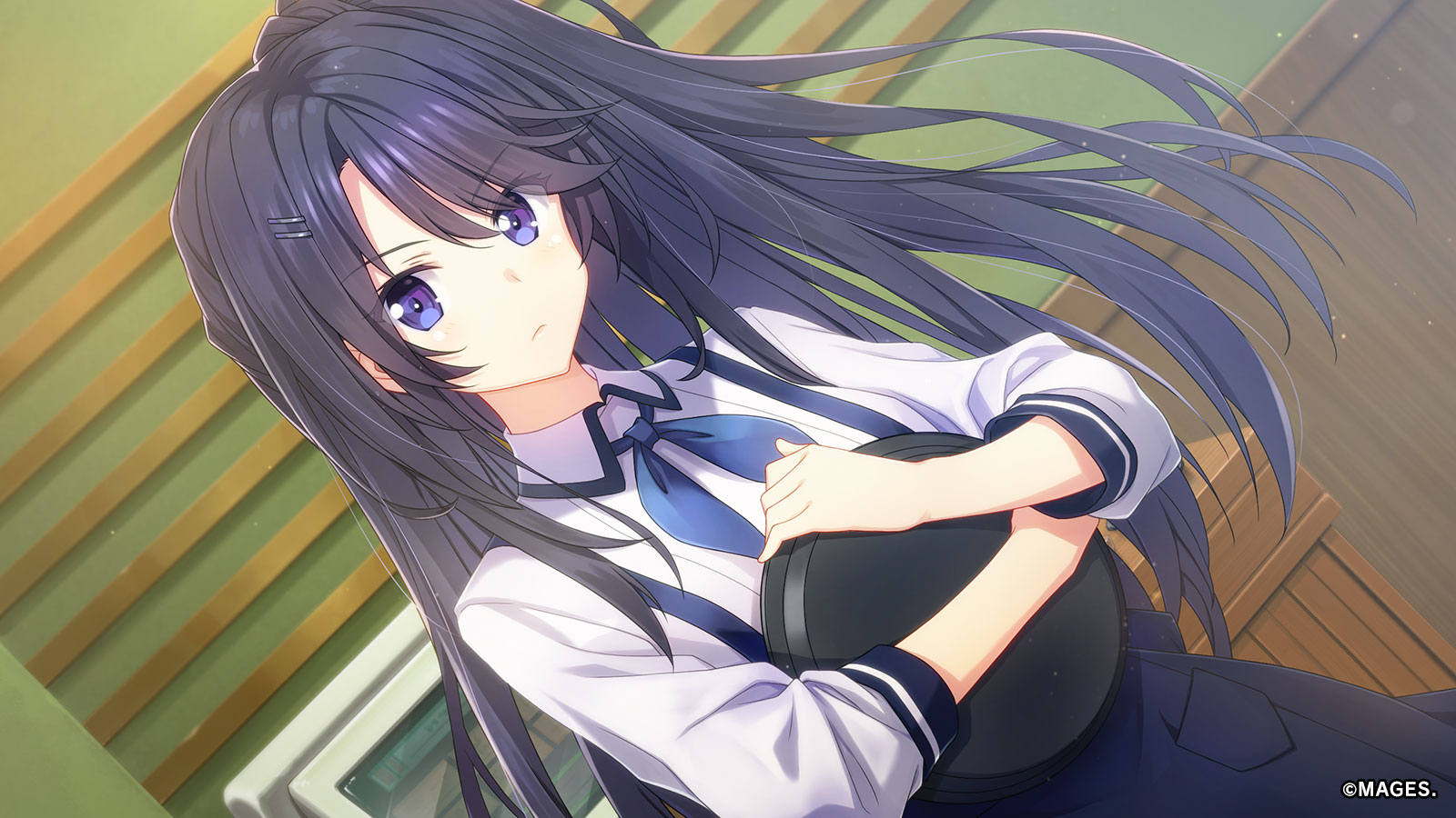 Switch/PS5/PS4/Steam「メモリーズオフ 双想 ～Not always true true