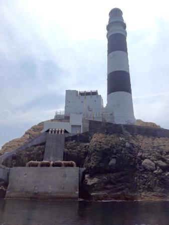 水ノ子島灯台。 - Picture of Mizunoko Island, Saiki - Tripadvisor