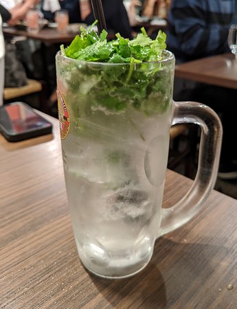 バイオアロマ パクチー1本 バイオアロマ パクチー1本