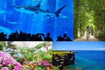 Okinawa Day Trips in 2026: 10 BEST Tours & Tickets from (Prices