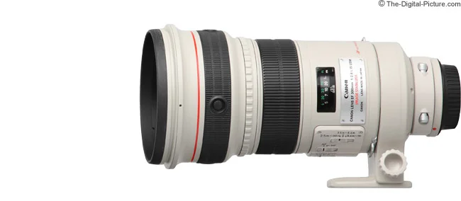 Canon EF 300mm f/2.8L IS USM Lens Review