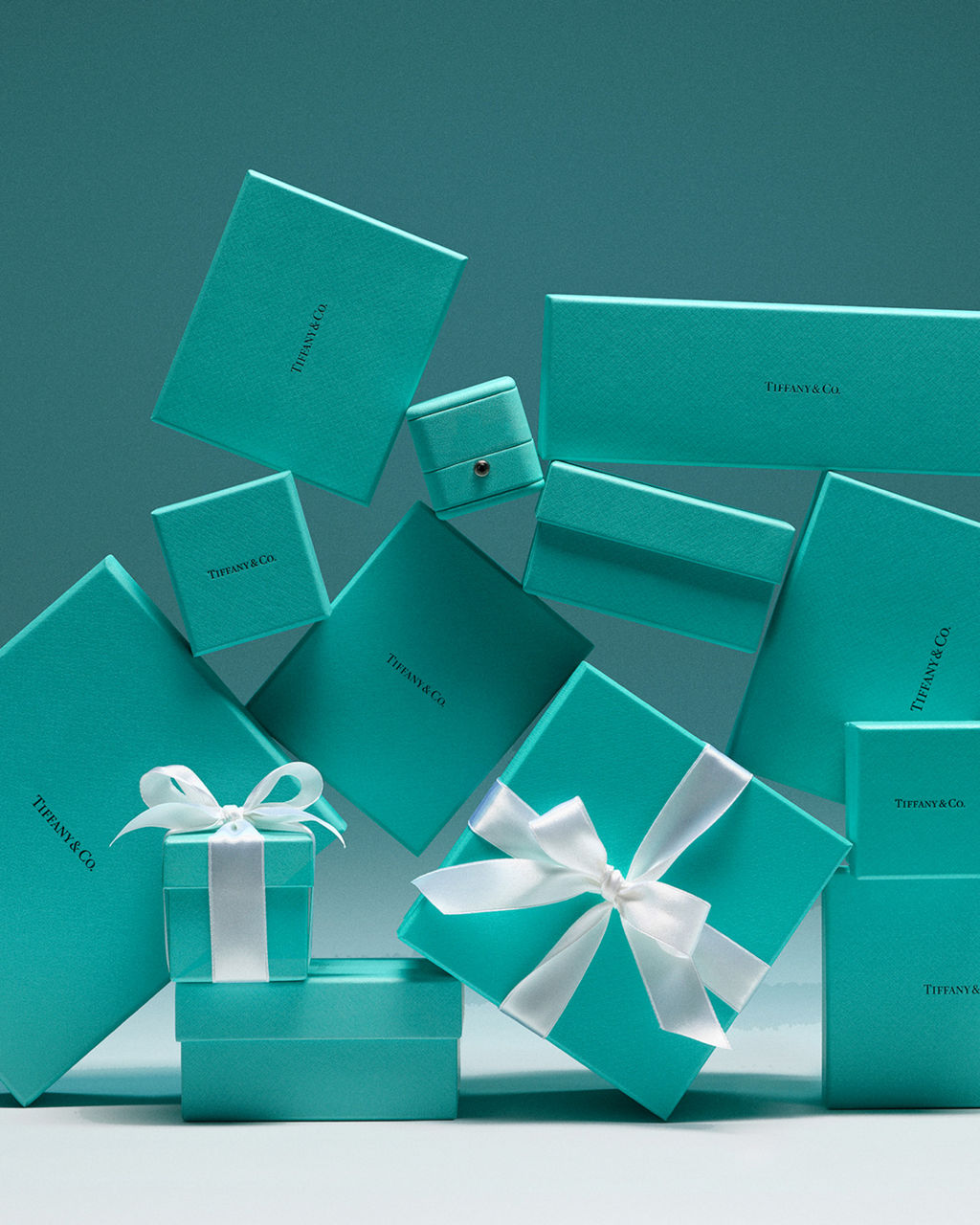 Tiffany & Co. ティファニーブルー ギフトボックス The Tiffany Blue