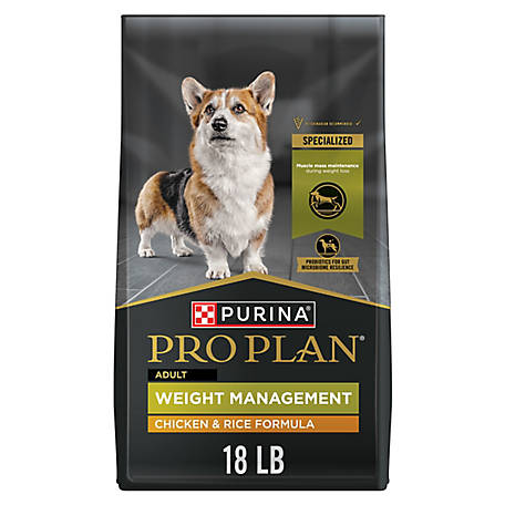 Purina Pro Plan Focus Puppy Lamb and Rice Formula Dry Dog Food at