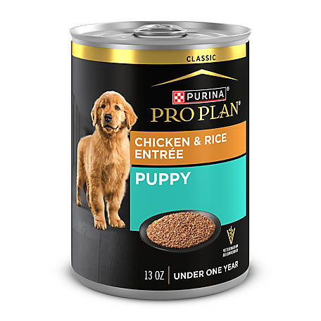 Purina Pro Plan Adult High-Protein Chicken and Rice Entree Pate