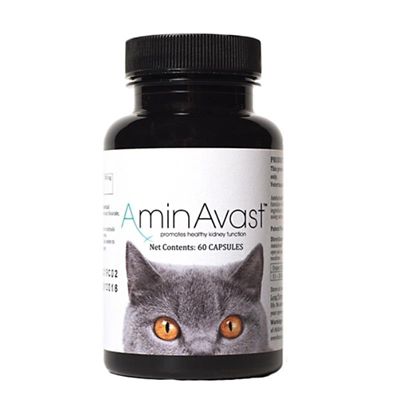 AminAvast Kidney Support Capsules for Dogs and Cats, 60 ct. at