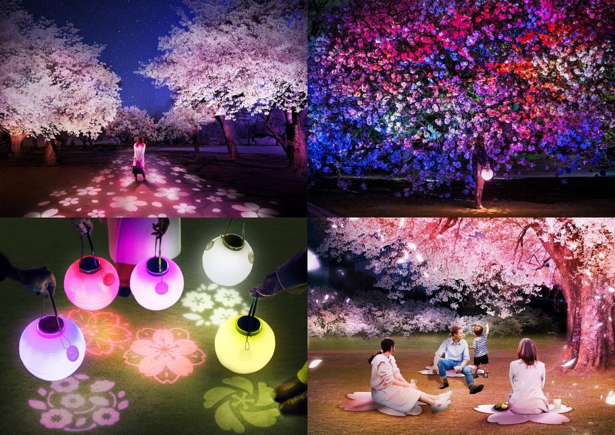 新宿御苑の70種類の夜桜にNAKEDがプロジェクションマッピング