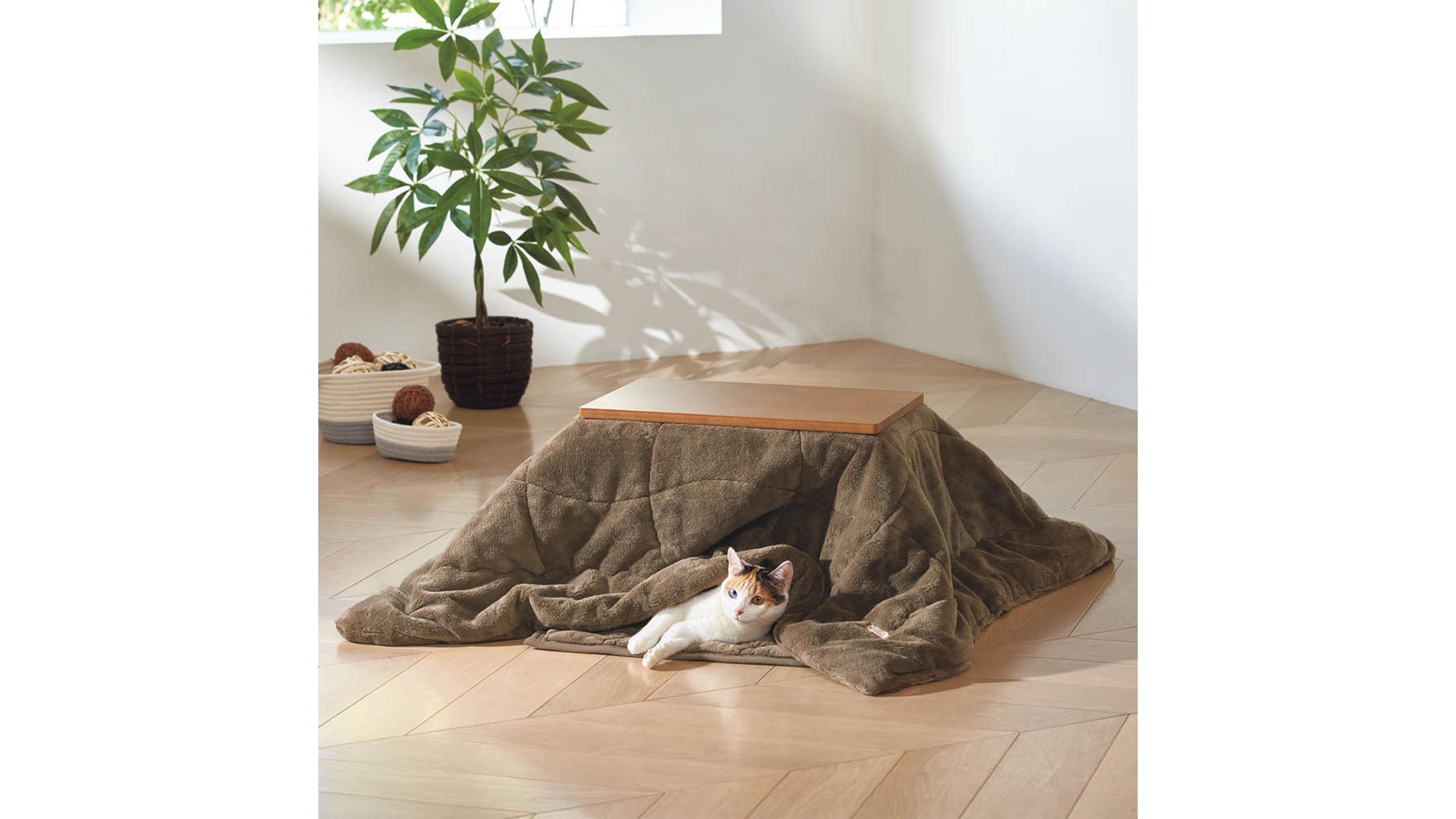 猫は“ペット用こたつ”で丸くなる | ギズモード・ジャパン