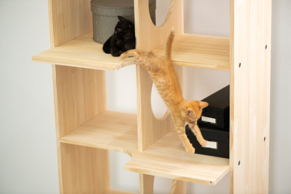 国内製造】高さがある木製の据え置き型キャットタワーのランキングをご