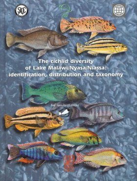 洋書Lake Malawi Cichlids マラウイ シクリッド