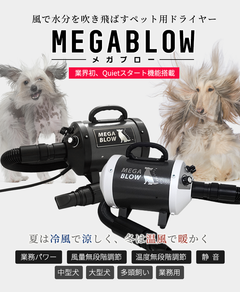 header-megablow-sp-2502.png
