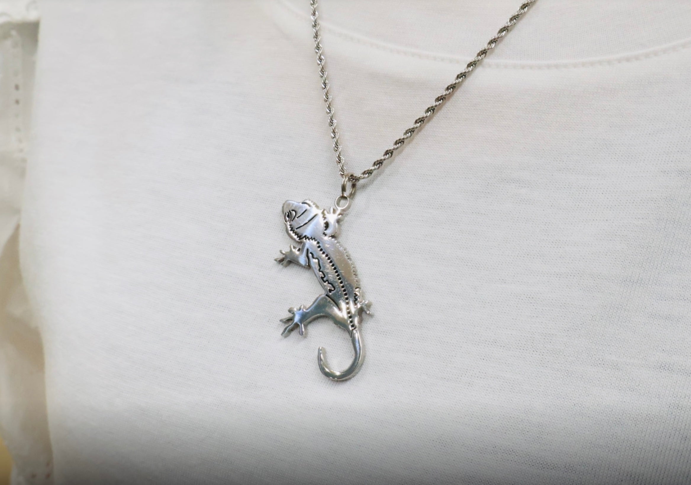 クレステッドゲッコー(オオカンミカドヤモリ) – metallico