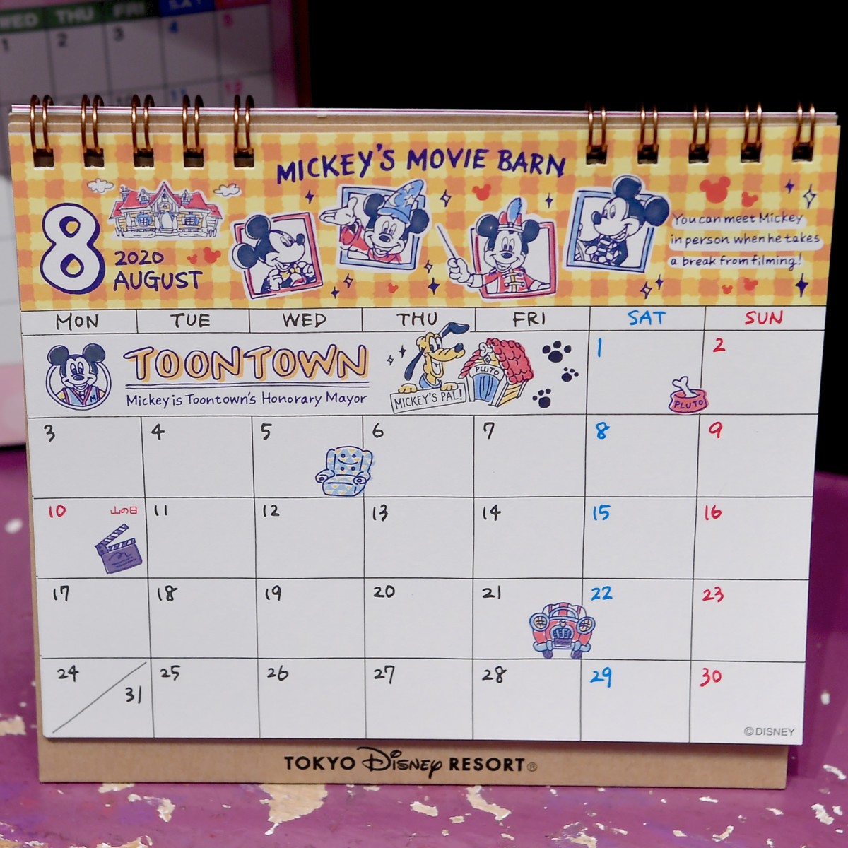 2020年用！東京ディズニーランド カレンダー&スケジュール帳（手帳） -