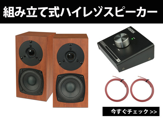 FOSTEX P802-S + PC200USB + CANARE 4S6 セット ハイレゾ