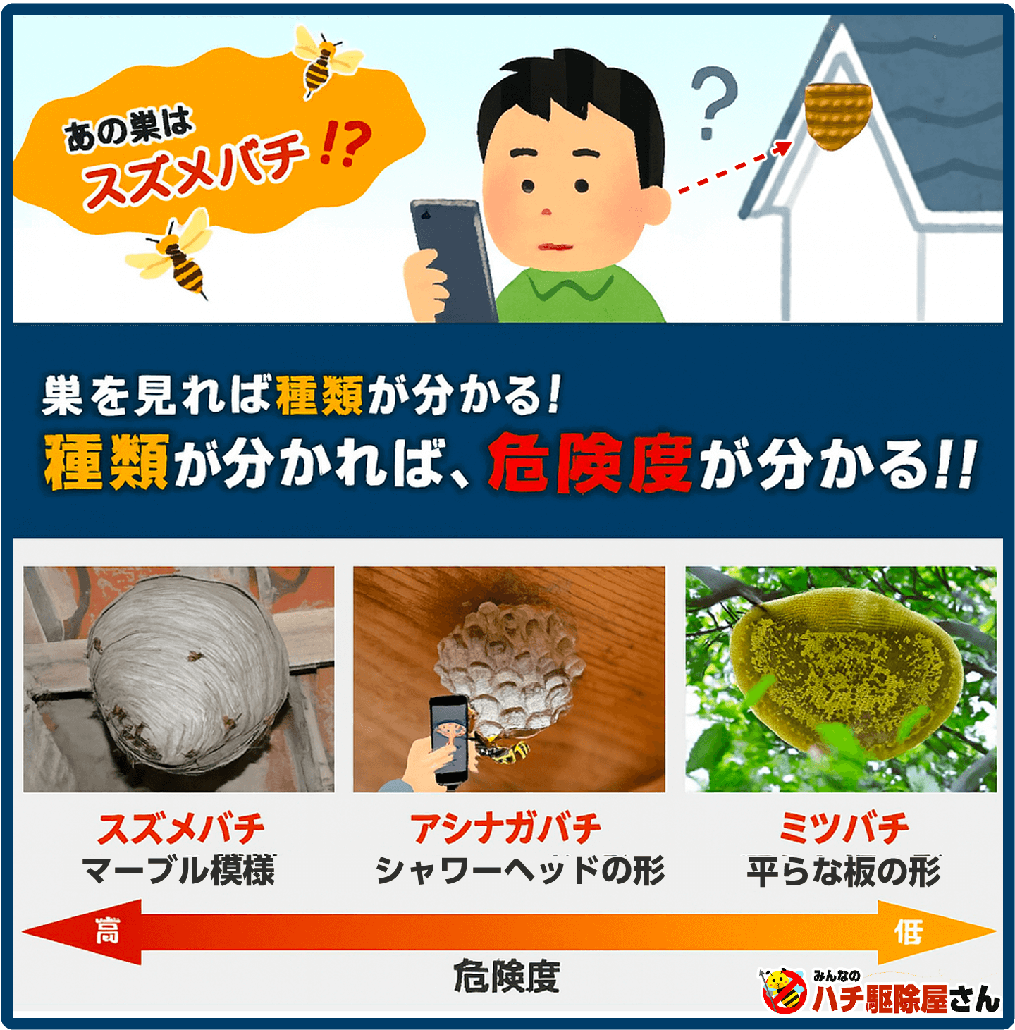 プロ直伝】蜂の巣の種類がひと目でわかる！見分け方、駆除・予防のコツ