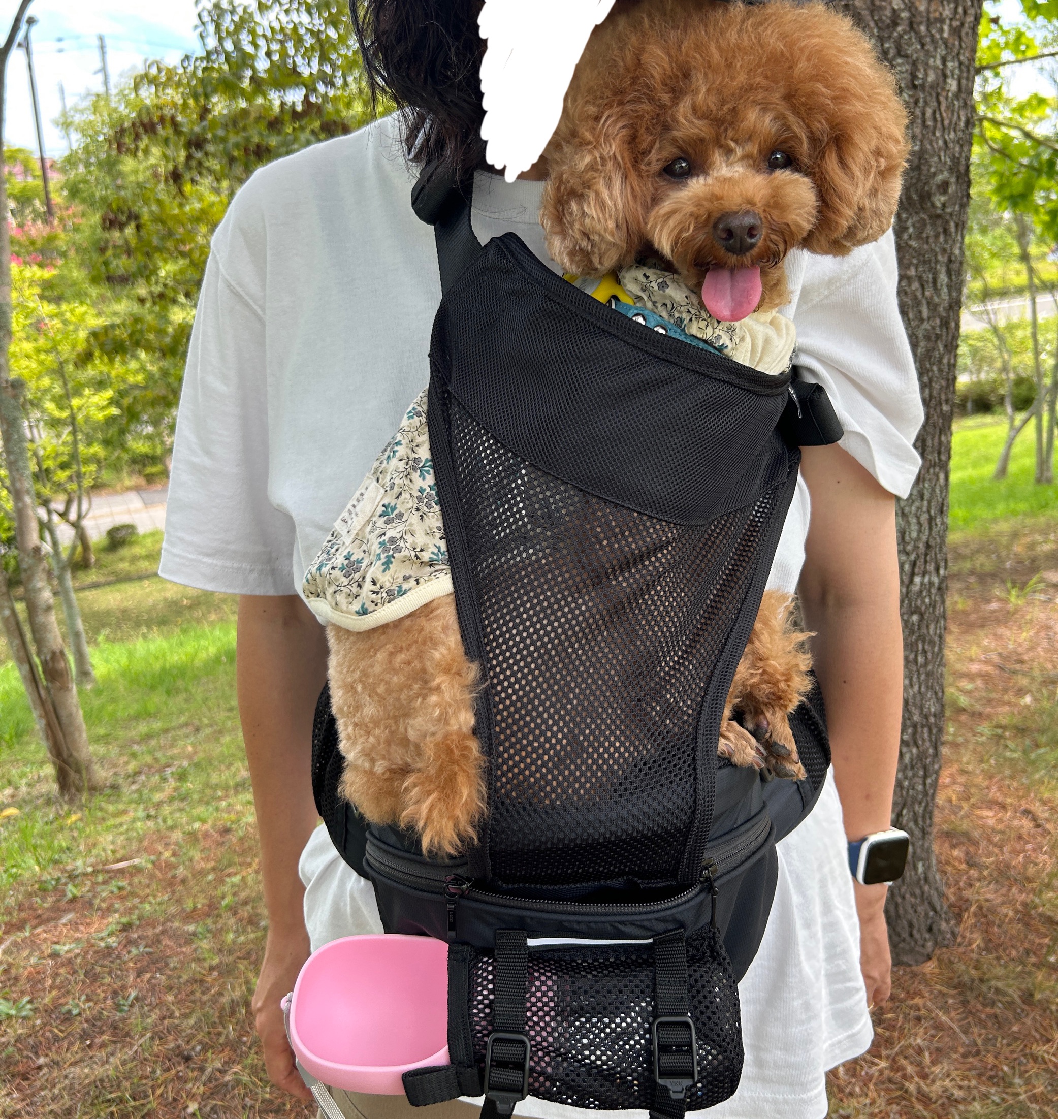 2025年最新】Nu-i Dog Carrierで愛犬へ快適な抱っこを実現 | 実際に約