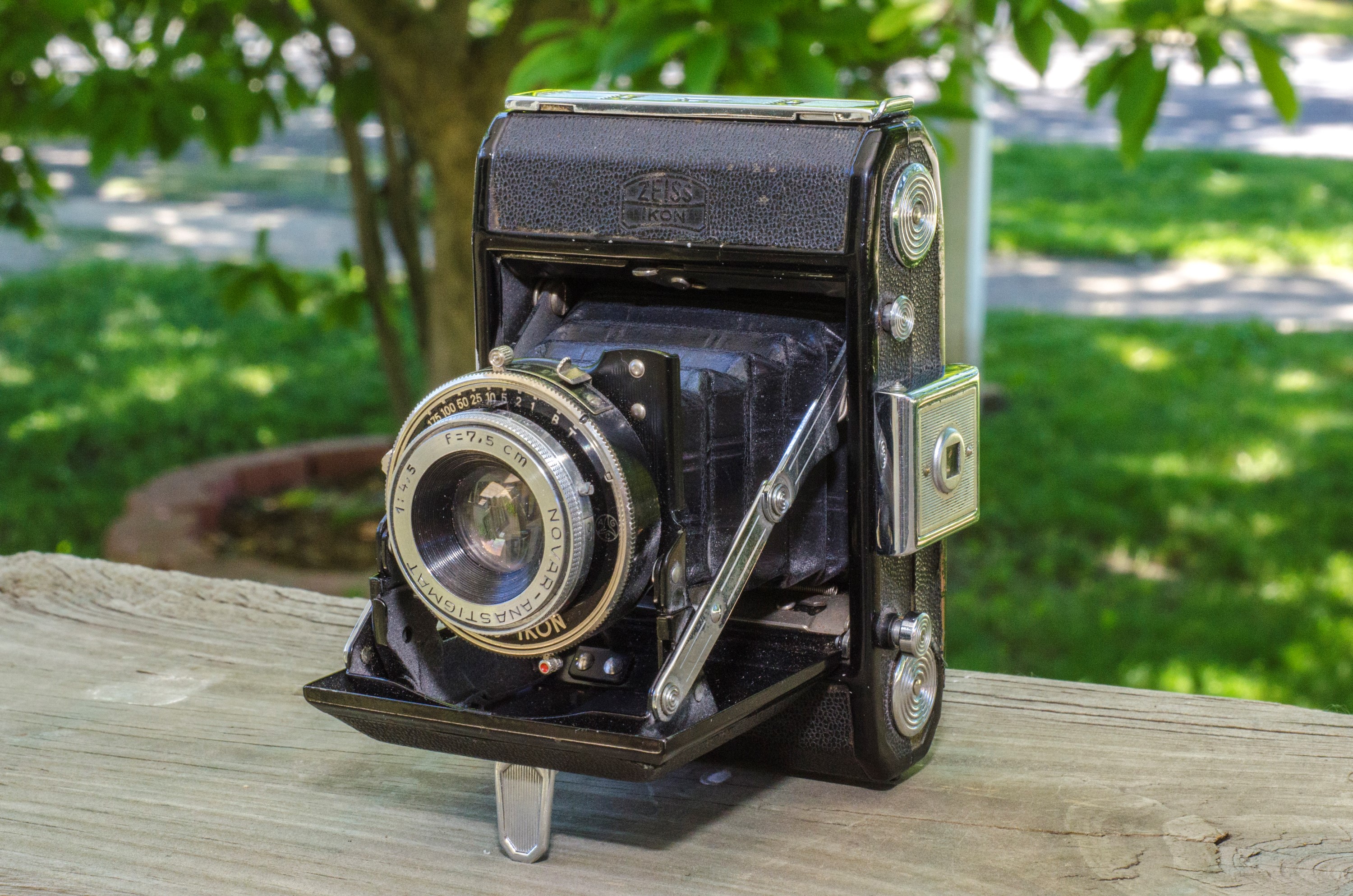 Zeiss-Ikon Nettar 515 (1937) - mike eckman dot com