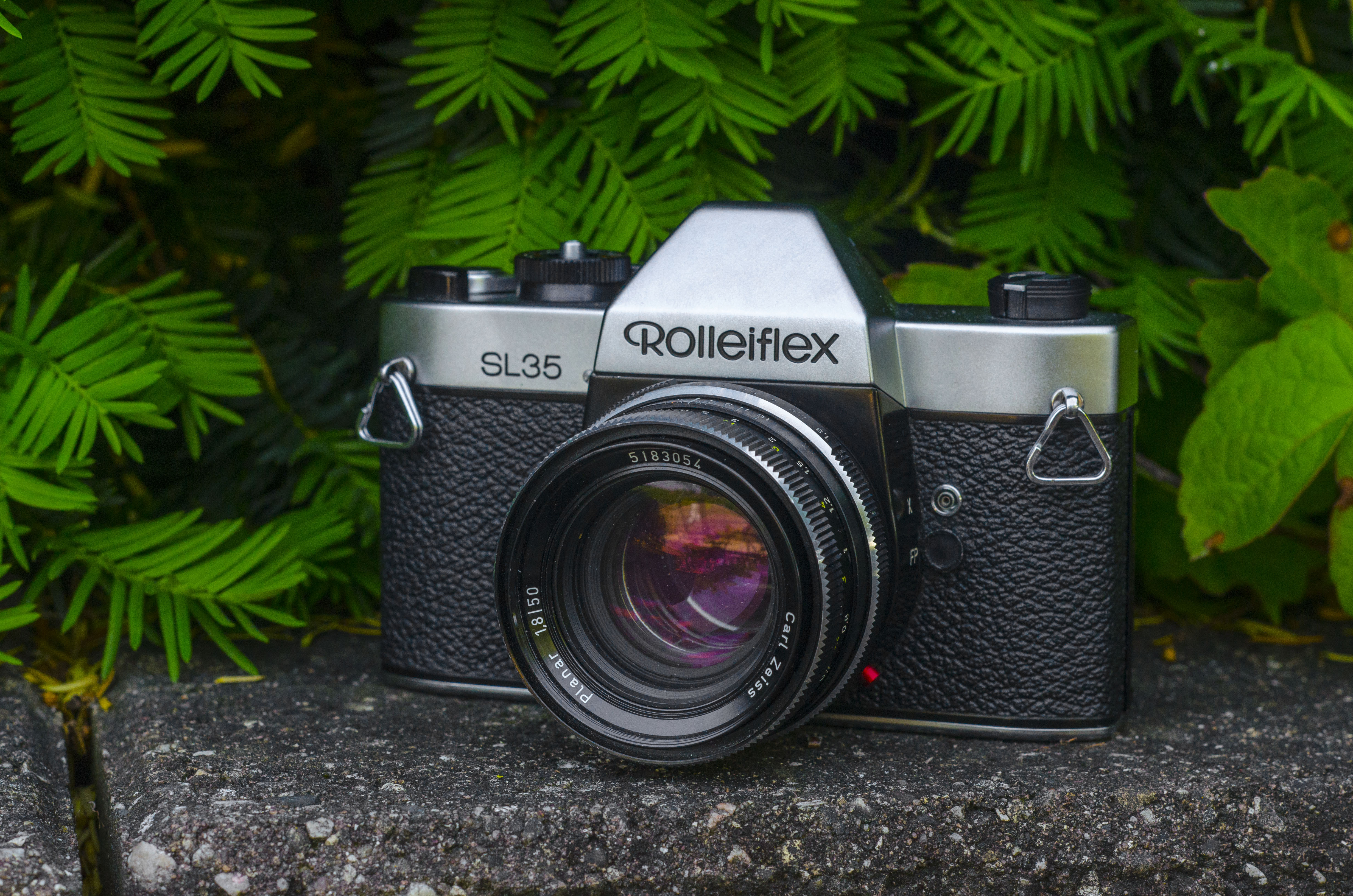 Rolleiflex SL35 (1970) - mike eckman dot com