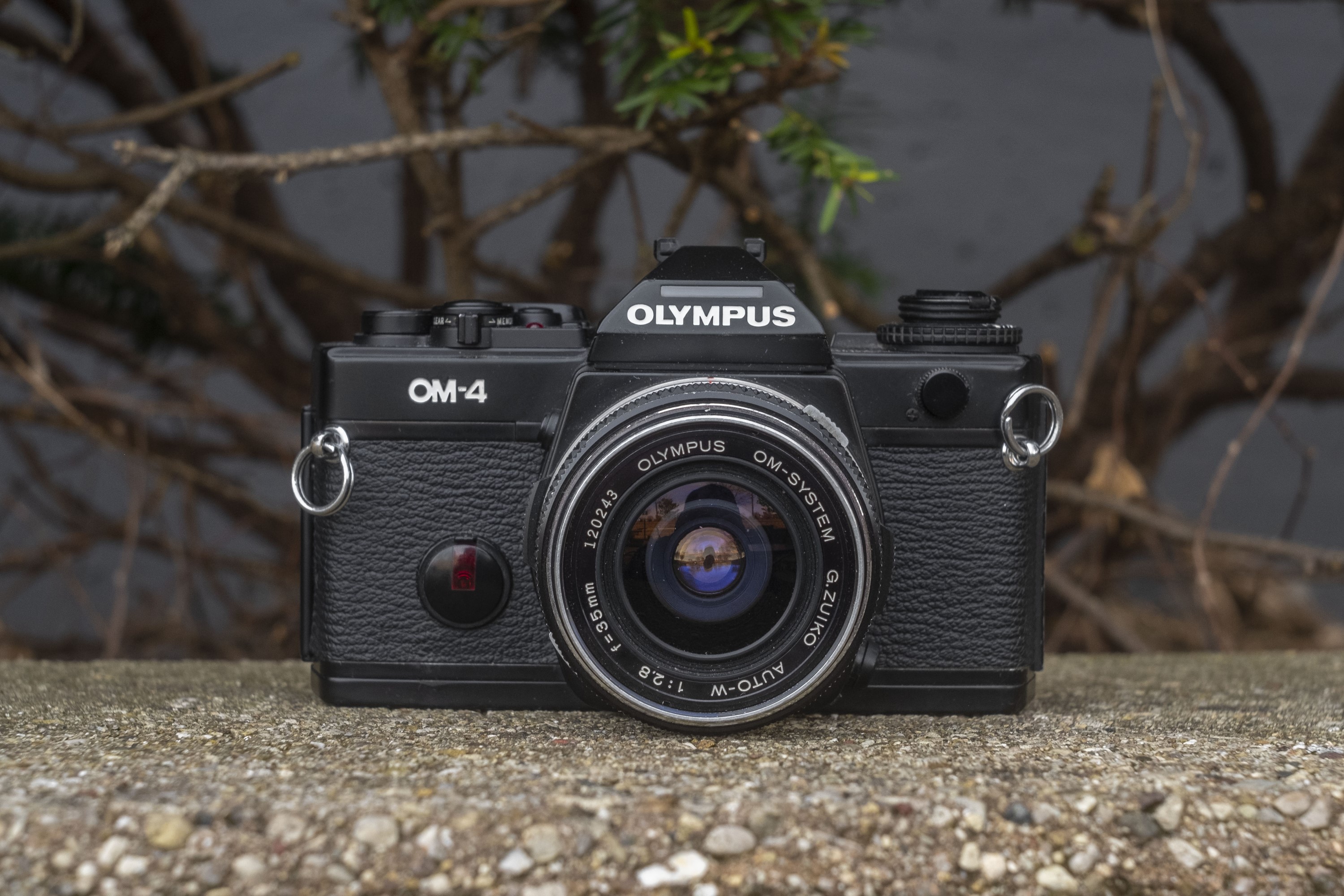 Olympus OM-4 (1983) - mike eckman dot com
