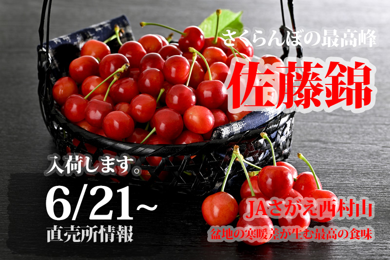 News&Topics｜【直売所だより】6/21 JAさがえ西村山より産地直送