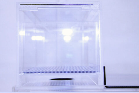 25×15×15ウールボックス - 熱帯魚のmishima