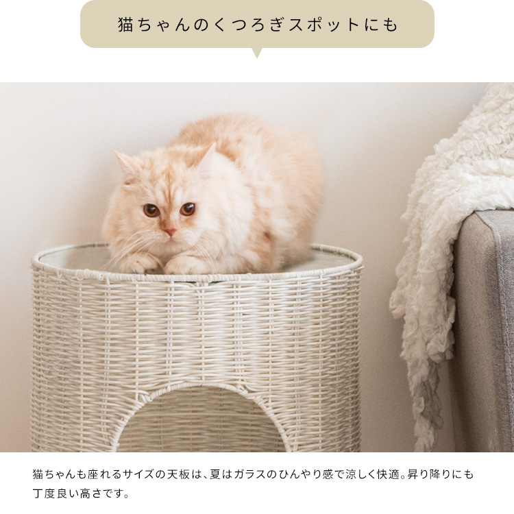 猫ちぐら Pienet（ピエネ） - MIYAMARKET