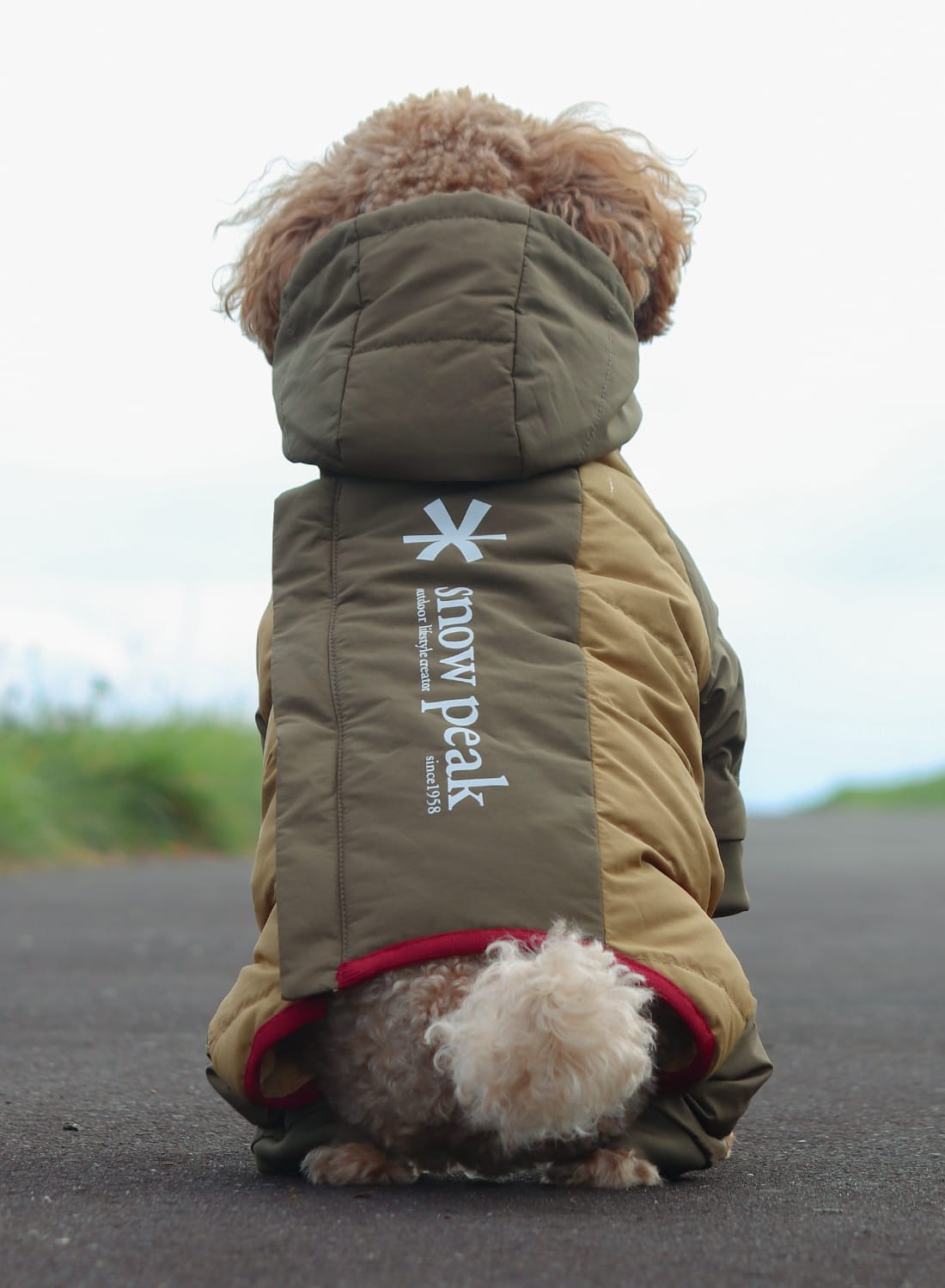 SP DOG DOWN JACKET|SP ドッグ ダウンジャケットSP ドッグ ダウン