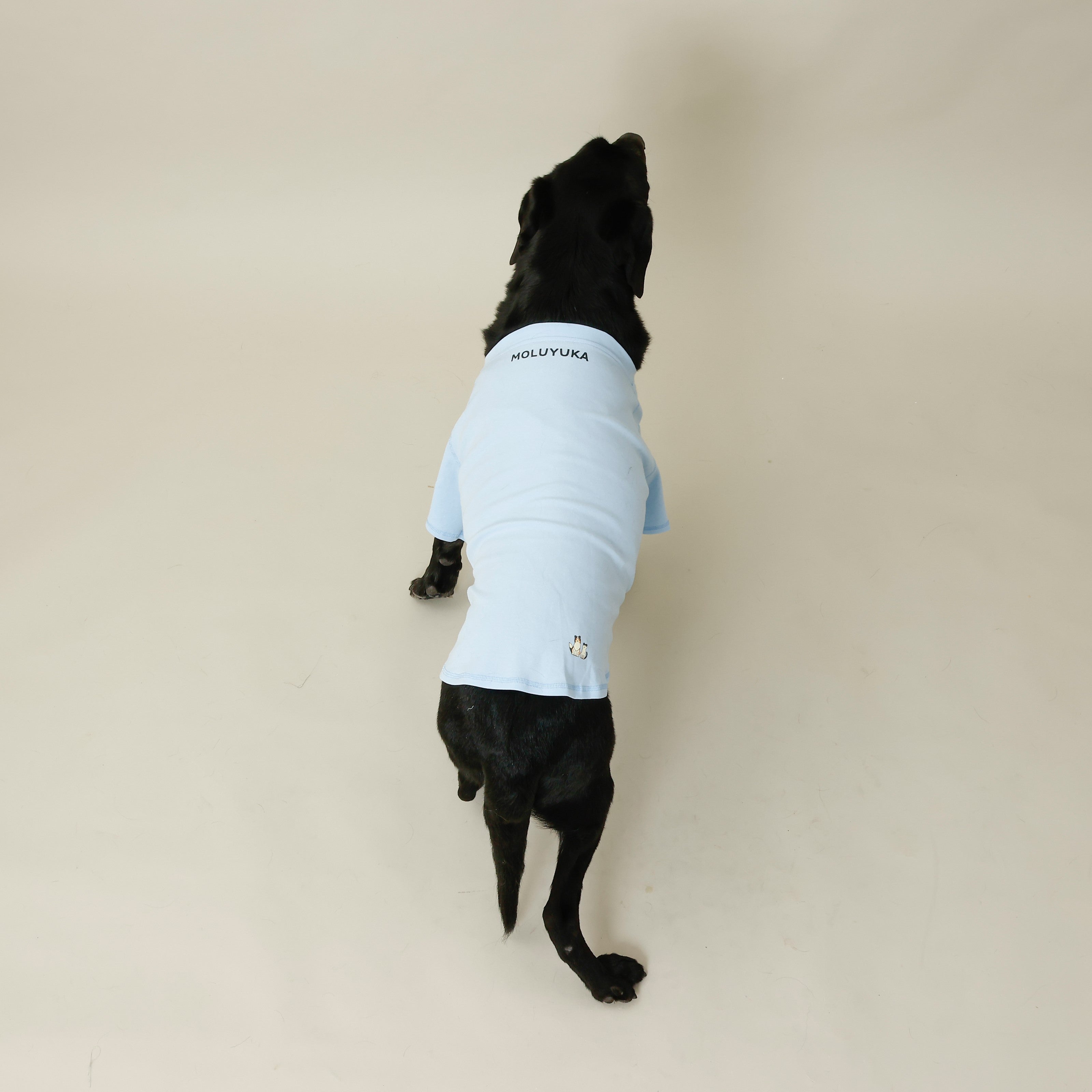 MOLUYUKのプレミアムスキンケア Tシャツ for pets – MOLUYUKA