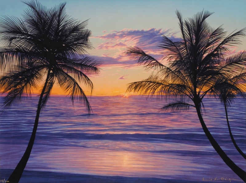 絵画 デイビッド・ガエーゴス ヒロベイガーデン シルクスクリーン 海