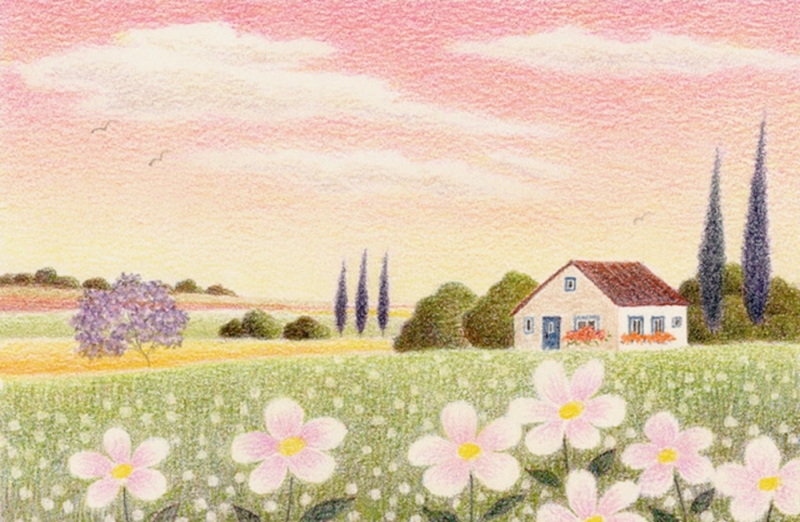 渡辺美香子さん色鉛筆画 渡辺美香子さん色鉛筆画 2024年後半の個展