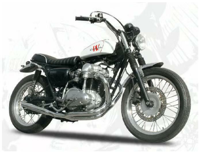 カワサキW400/650 フラットサイドアルミタンク BIGCEDAR | バイク